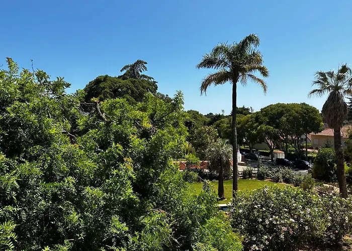 Casa de hóspedes: Chalet Ficalho